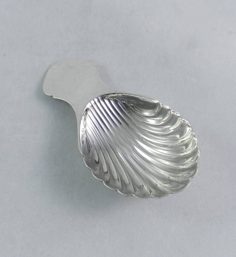 silver shell caddy spoon