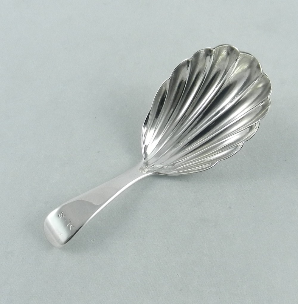 antique silver shell caddy spoon